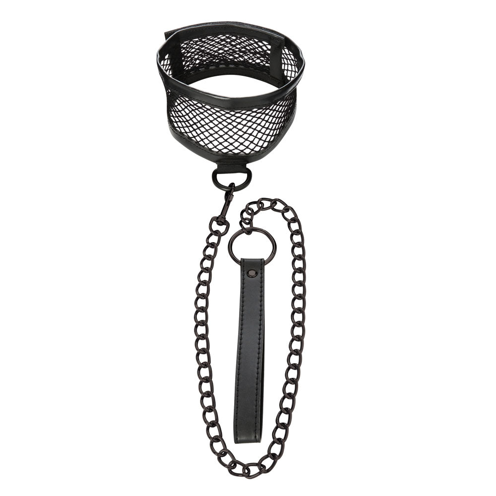 Sex & Mischief Fishnet Collar and Leash